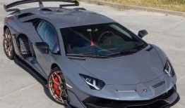 向主播爆料兰博基尼视频,主播独家爆料，速度与激情背后的故事