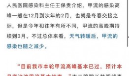 甲流最新情况爆料,全球防控形势与病例分析概览
