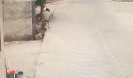 今日揭西爆料视频最新版,揭秘当地热点事件，追踪民生动态